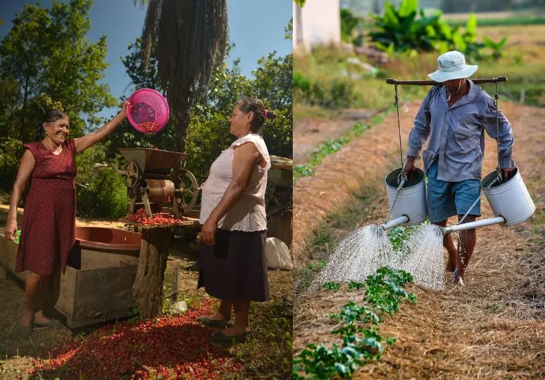 El relevo generacional rural – un fenómeno complejo con implicaciones globales